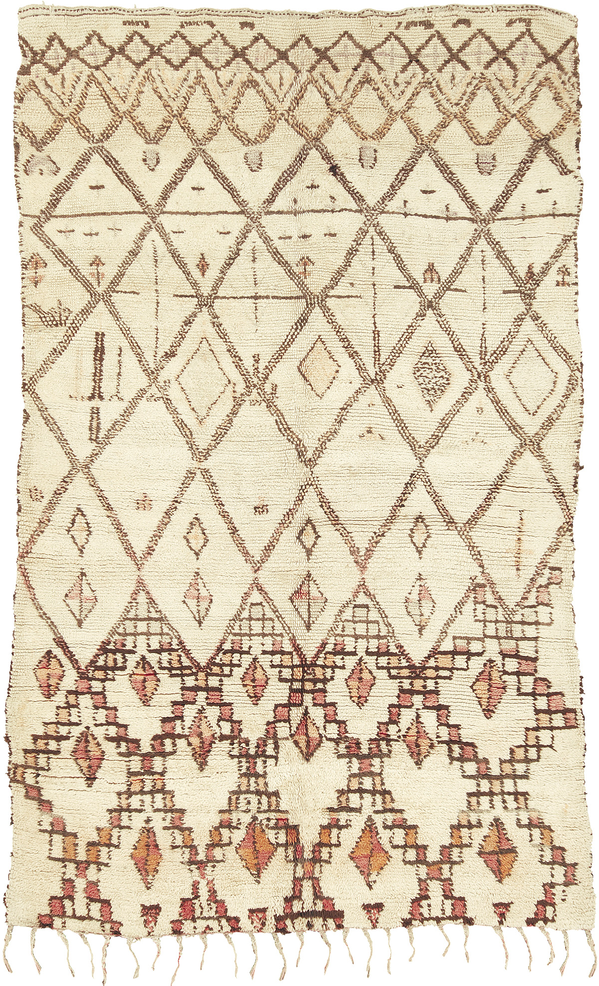 Beni Ouarain #15240 | FJ Hakimian Beni Ouarain #15240 | FJ Hakimian