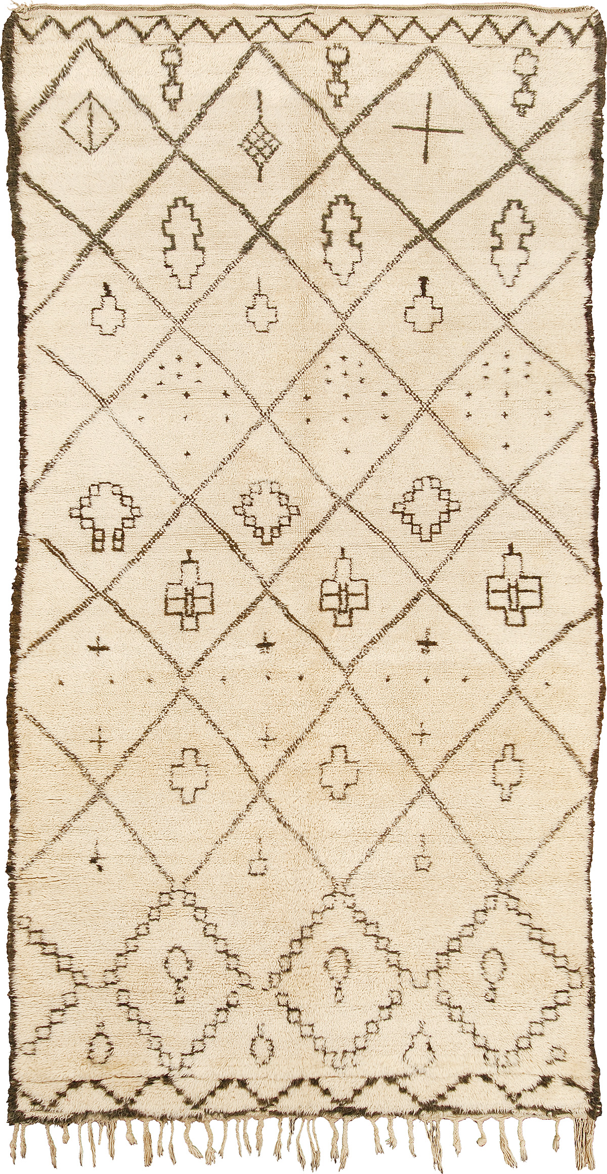 Beni Ouarain #15250 | FJ Hakimian Beni Ouarain #15250 | FJ Hakimian