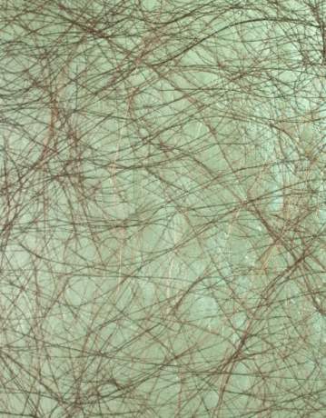 Wallcovering