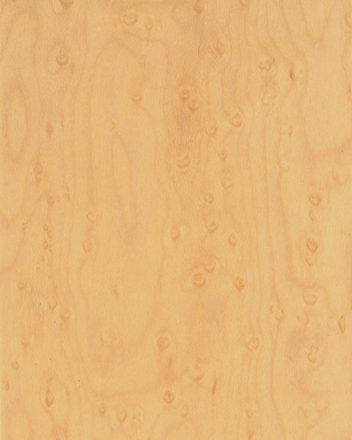 CP-ZN- Birds Eye Maple Veneer (Curly Grain)