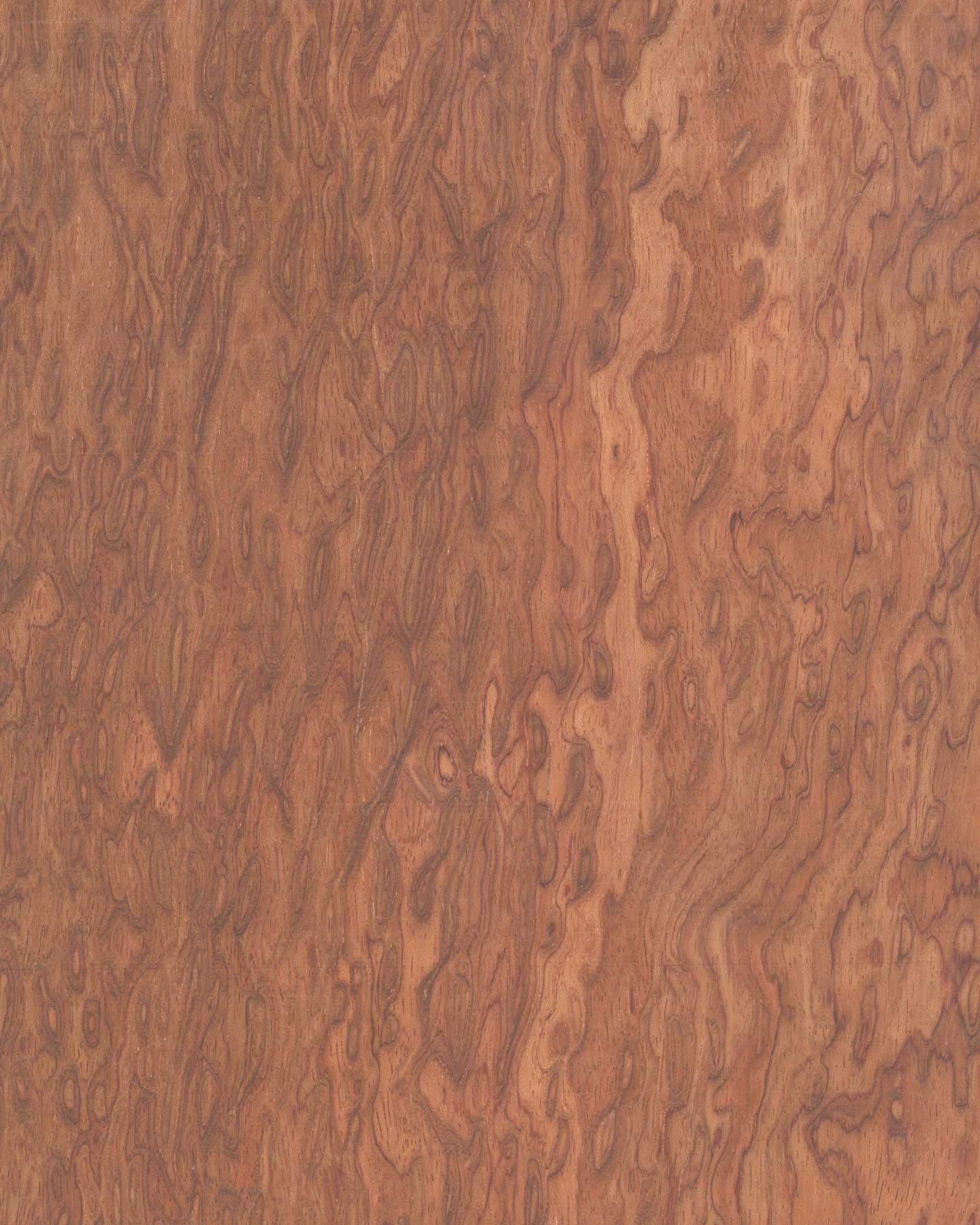 CP-ZN- Bubinga Veneer (Flat Grain)