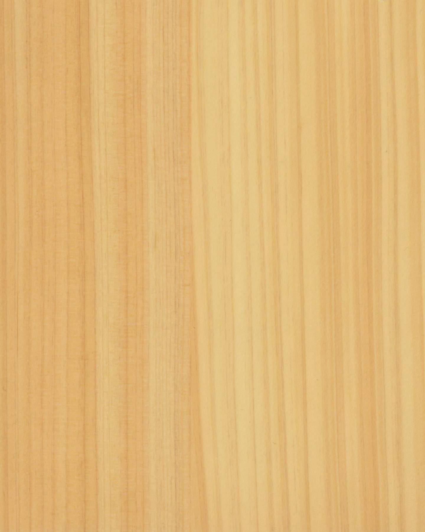 CP-ZN- Cypress Veneer (Straight Grain)