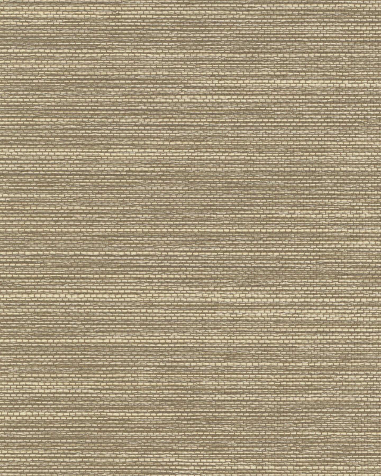 CP-TA- TRI5553
