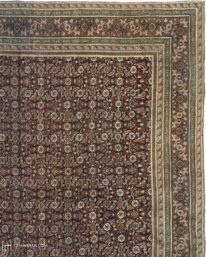Agra