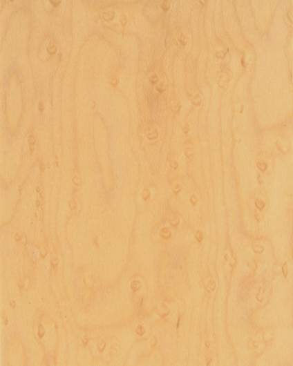 CP-ZN- Birds Eye Maple Veneer (Curly Grain)