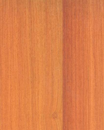 CP-ZN- Chinese Quince Veneer (Straight Grain)