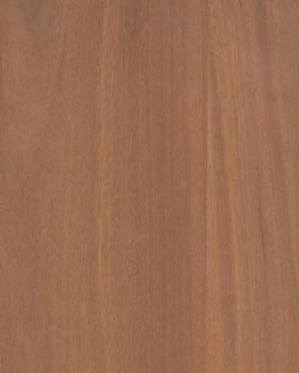 CP-ZN- Makore Veneer (Flat Grain)