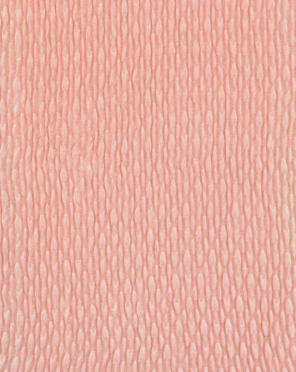 CP-IK- MA4338 Col. Pink