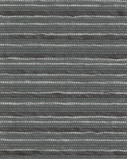 CP-TA- TRI5537