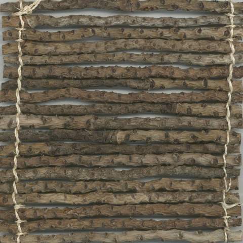 HA- Baragubay Coconut Twig